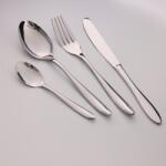  Set 24 de tacamuri OEM GS-101331S2, Pentru 6 persoane, Lustruire oglinda, Cutie, Otel inoxidabil 410, argintiu metalizat (GS-101331S2) Tacam