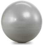 Sedco Minge de gimnastică 75cm SEDCO SUPER - Gri Minge fitness