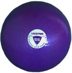 LivePro Gymball LivePro STUDIO FIT EXERCISE 55 cm - 55 cm Minge fitness