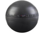 Pure2Improve Minge de gimnastică Pure2Improve 65 cm Minge fitness