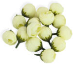  Decorolla Virágfej Begónia Krém 2 cm 15 Darab/Csomag (AAE391)