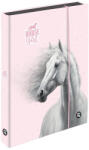 KARTON P+P Lovas füzetbox A/5, jumbo, OXY 2026 Horse romantic, rószaszín (KPP-8-72126)