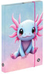 KARTON P+P Axolotl füzetbox A/5, OXY 2026 (KPP-3-77826) - mesescuccok
