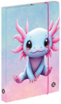 KARTON P+P Axolotl füzetbox A/4, OXY 2026 (KPP-3-75426) - officetrade
