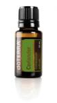 dōTERRA Coriander / Koriandermag illóolaj 15 ml (OS269076)
