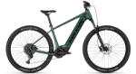 Kellys Tygon R90 LTD P 29 (2026)