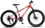 CarpatBike S24109C 24 Bicicleta