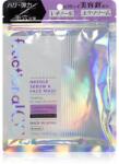 fractional CC Needle Serum A Face Mask feszesítő arcmaszk retinollal 6 db