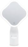 RIO Illuminated full size beauty mirror