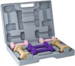 SPORTNOW Set Ganteră Fitness 2x1/1.5/2kg cu Geantă, Ganteră de 9 kg Total cu Mâner Antiderapant, Antrenament Fitness Acasă, Roz, Violet, Maro | Aosom Romania (A91-398V00MX)