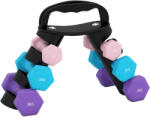 SPORTNOW Set de Gantere pentru Sală cu Suport Pliabil, 2x1 kg, 2x2 kg, 2x3 kg, Gantere Hexagonale din Metal cu Mâner, Antrenament Fitness Acasă, Roz, Albastru, Mov | Aosom Romania (A91-360V00PK)