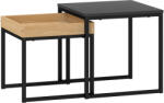 HomCom Set 2 Măsuțe de Cafea Moderne cu Picioare în Formă de U, Măsuțe de Sufragerie din Lemn și Oțel, 40x40x40 cm, Negru | Aosom Romania (83B-121V00BK) Masa de cafea