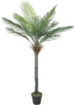 HOMCOM Plantă Artificială Decorativă 180 cm Palmier Artificial cu Ghiveci și Frunze pentru Interior Verde | Aosom Romania (83C-197V00GN)