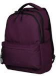 Schneiders Rucsac de agrement Walker Alpha Plum