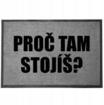 TabPrint Lábtörlő Bejárati 40x60 cm Szürke Miért Vagy Itt? Vicces Ajándék (Wycieraczka Szara DLACZEGO TAM JESTEŚ?)