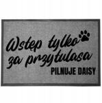 TabPrint Lábtörlő Szürke 60X40 Kutyatartó Kutya Nevével (WYCIERACZKA SZARA Z IMIENIEMPSA PXX913)