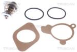 TRISCAN Termostat, lichid racire TRISCAN 8620 2387 (8620 2387)