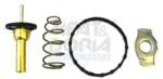 Meat & Doria Termostat, lichid racire MEAT & DORIA 92784 (92784)