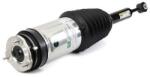 Arnott Brat arc pneumatic Arnott AS-3752 (AS-3752)
