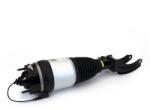 Arnott Brat arc pneumatic Arnott ASE-4373 (ASE-4373)