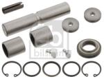 Febi Bilstein Set reparatie, pivot FEBI BILSTEIN 10204 (10204)