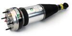 Arnott Brat arc pneumatic Arnott ASE-4369 (ASE-4369)