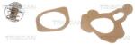 TRISCAN Termostat, lichid racire TRISCAN 8620 1182 (8620 1182)