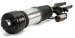 Arnott Brat arc pneumatic Arnott AS-3001 (AS-3001)