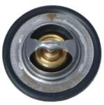 NRF Termostat, lichid racire NRF 725089 (725089)