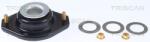 TRISCAN Rulment sarcina suport arc TRISCAN 8500 24926 (8500 24926)