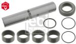 Febi Bilstein Set reparatie, pivot FEBI BILSTEIN 11480 (11480)