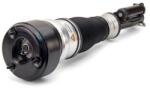Arnott Brat arc pneumatic Arnott AS-2540 (AS-2540)
