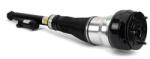 Arnott Brat arc pneumatic Arnott AS-3361 (AS-3361)