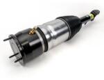 Arnott Brat arc pneumatic Arnott AS-4328 (AS-4328)