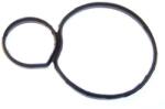 ELRING Garnituri, carcasa filtru ulei ELRING 691.920 (691.920)