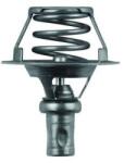 MAHLE Termostat, lichid racire MAHLE TX 66 91D (TX 66 91D)