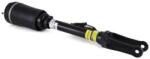 Arnott Brat arc pneumatic Arnott AS-2463 (AS-2463)