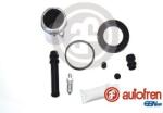 Autofren Seinsa Set reparatie, etrier AUTOFREN SEINSA D41376C (D41376C)