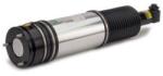 Arnott Brat arc pneumatic Arnott AS-2981 (AS-2981)