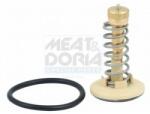Meat & Doria Termostat, lichid racire MEAT & DORIA 92646 (92646)