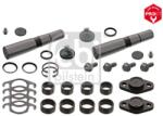 Febi Bilstein Set reparatie, pivot FEBI BILSTEIN 18418 (18418)