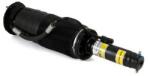 Arnott Brat arc pneumatic Arnott SK-2459 (SK-2459)