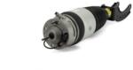 Arnott Brat arc pneumatic Arnott AS-3056 (AS-3056)