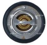 NRF Termostat, lichid racire NRF 725206 (725206)