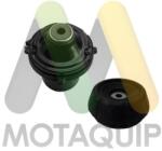MOTAQUIP Set reparatie, rulment sarcina amortizor MOTAQUIP LVSM1045 (LVSM1045)