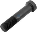 DT Spare Parts Bolt roata DT Spare Parts 4.40139 (4.40139)