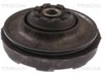 TRISCAN Set reparatie, rulment sarcina amortizor TRISCAN 8500 24916 (8500 24916)