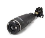 Arnott Brat arc pneumatic Arnott AS-2961 (AS-2961)