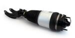 Arnott Brat arc pneumatic Arnott ASE-4374 (ASE-4374)