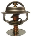 THERMOTEC Termostat, racire ulei THERMOTEC D2MT001TT (D2MT001TT)